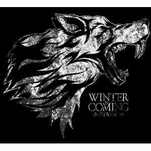 Camiseta Winter is coming -...